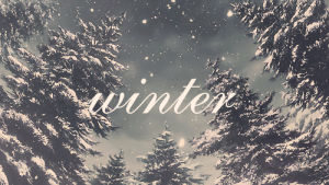 snow,christmas,winter