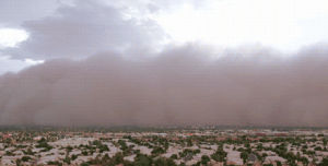 sandstorm,haboob,storm,sand,phoenix