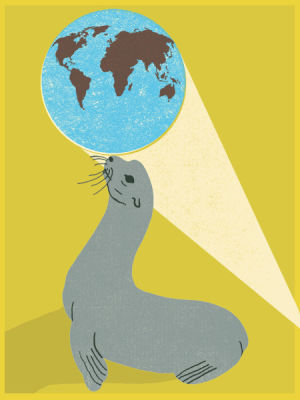 seal,circus,environment,world