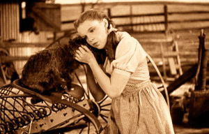 toto,somewhere over the rainbow,wizard of oz,dorothy,judy garland,the wizard of oz,dorothy gale
