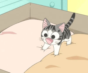 cat,anime,cute,anime cat,bedtime,neko,koneko