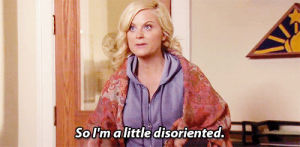 amy poehler,leslie knope,parks and recreation,parks,3x08