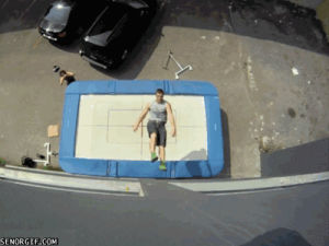 trampoline,sports,jump,win