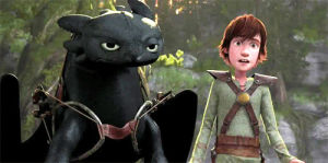 toothless,hiccup,dreamworks,how to train your dragon,berk