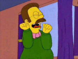 funny,flanders,reaction,reaction s,react,simpsons