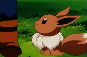 eevee,pokemon,what a cutie