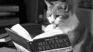 books,reading,cat,animal