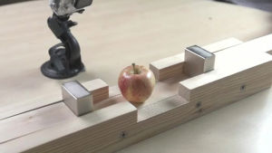 apple,magnets,neodymium