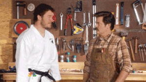 knockout,parks and recreation,ron swanson,andy dwyer,7x10,the johnny karate super awesome musical explosion show,johnny karate,chop