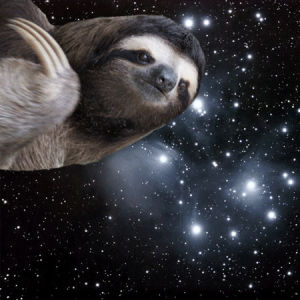 laser,valentines day,love,space,candy,chocolate,sloth,sloth in space,fire ze lasers,lasersloth