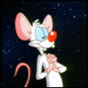 pinky and the brain,pinky brain,excited