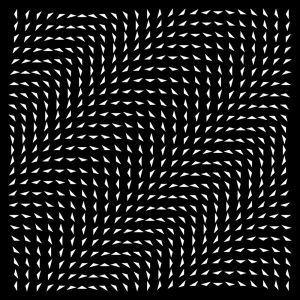 hypnotic,black and white,psychedelic,processing,illusion,op art,b w,kilavaish