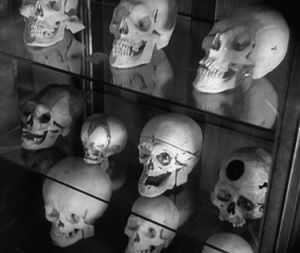 horror,halloween,skeleton,bones,monsters,rhett hammersmith,skulls,fritz lang,the testament of dr mabuse