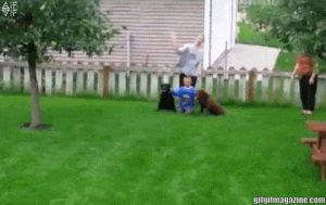 Gif Dog Racing Level Best Animated Gifs Next Free Download Gif Dog Racing Level Best Animated Gifs Next Free Download