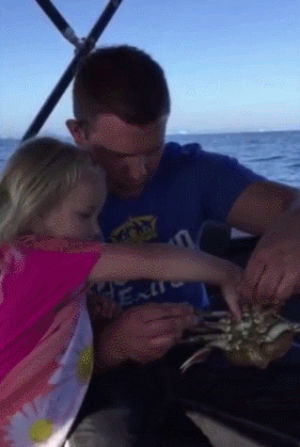 daughter,crab,animals being jerks,hold