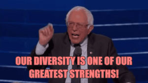 diversity,bernie sanders,dnc,democratic national convention,dnc 2016,our diversity is one of our greatest strengths