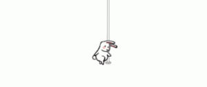 dance,rabbit,bunny