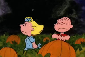 Peanuts charlie brown its the great pumpkin charlie brown GIF on GIFER ...