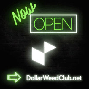 weed,club,check,stoned,dollar
