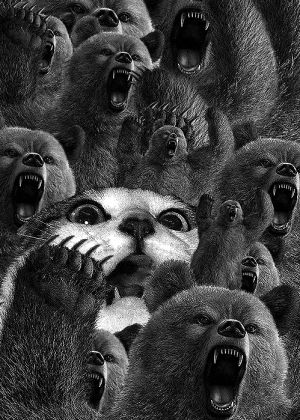 scream,help me,i dont know,cat,animals,scared,bear
