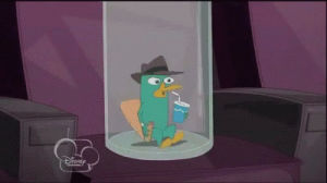 perry the platypus,spit take,perry,reaction,phineas and ferb