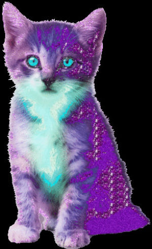 transparent,cat,kitty,pastel,flashing,sitting