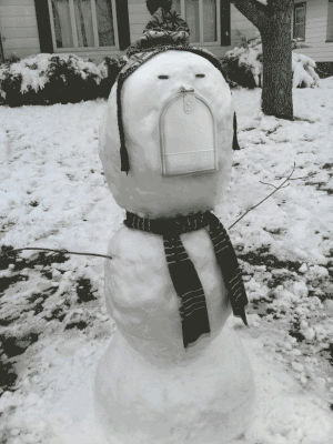 snowman,snow,shocked,jaw drop,mailbox