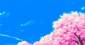 cherry blossoms,japanese cherry blossoms,anime,nature,kawaii,pretty,pink,blue,japan,japanese,sakura,scenery,inu x boku ss,japanese scenery