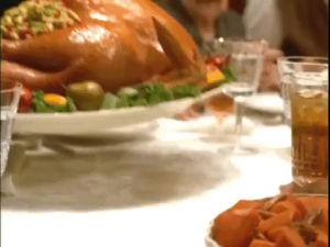 commercial,thanksgiving,florida,turkey,turkey day,pilgrim,thanksgiving dinner,salt and pepper,publix