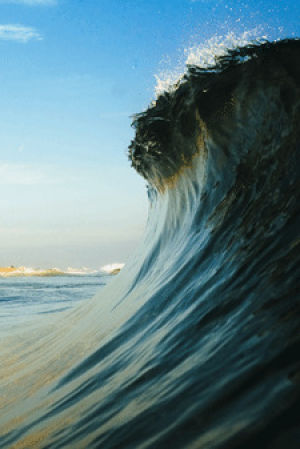 ocean waves,surfing,surf,wave