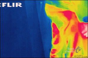 infrared,science,technology,camera,fart,thermal,flir