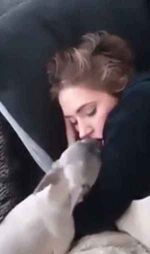 woman,licking,sleeping,kissing,lips,dog