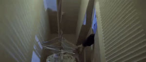 michael myers,horror,halloween,1970s,trapped,john carpenter,attacked