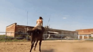 girl,horse,off,reverse,helps