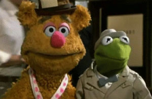 the muppets,muppets,the muppet show,fozzie bear,tv show,kermit the frog,tv,movie,film,miss piggy,the great muppet caper