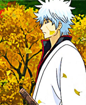 sakata gintoki,sakata kintoki,anime,gintama,waiting,standing,five,5,kagura,shinpachi shimura,falling leaves