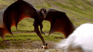 dragons,dragon,game of thrones,drogon,got,season 4,daenyrs targaryen