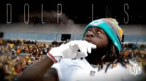 miami dolphins,football,nfl,dolphins,wildcard,wildcard 2017