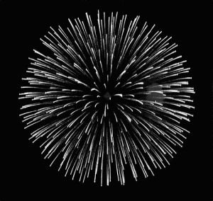 fireworks,moi,black and white