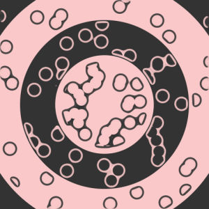 loop,pink,animation,art,design,artist,motion,abstract,creative,pastel,perfect loop,mograph,hypnotic,smooth,cat luci kitty wiggle pounce,lucita,lucy,steampunk,elf,dont want notes
