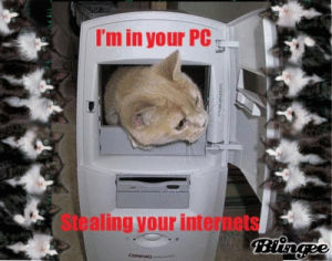 cat,picture,memes,internet,blingee