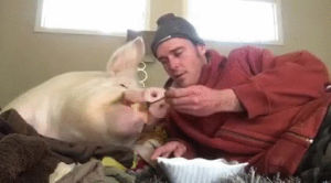 lunch,dad,pig,wonder