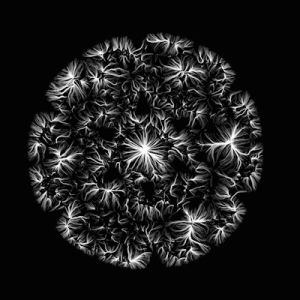 particles,fractals,recursion,generative art,cinder,finite subdivision,raven kwok,turbulence,likes hearts vs stars