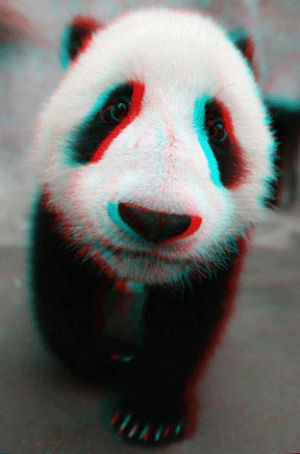 panda,3d,baby
