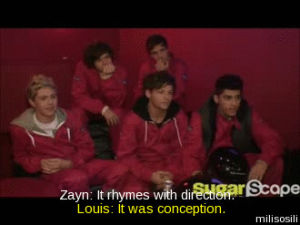 funny,one direction,interview,harry styles,zayn malik,louis tomlinson,liam payne,1d,niall horan,mario cart,dog cupcake,tell it to maury