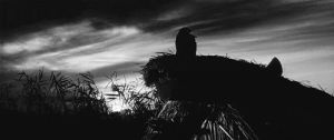 movie,film,animals,black and white,horror,vintage,japan,spooky,crow,onibaba