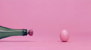 vs,bottle,champagne,egg,amazing,science,interesting