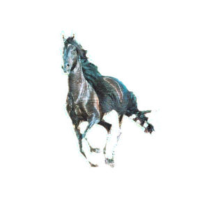 animation,horse