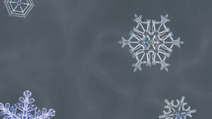 snow,cold,winter,snow flake,snowflake,pretty,pbs,deep look,kqed science