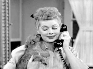 i love lucy,photoset,lucy,lucille ball,photoset little ricky gets a dog,little ricky gets a dog,keith thibodeaux